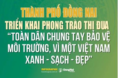 [Infographic] Thành phố Đồng Nai: Triển khai phong trào thi đua 'Toàn dân chung tay bảo vệ môi trường, vì một Việt Nam xanh - sạch - đẹp'