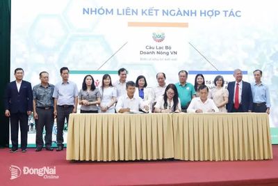 Xây dựng chuỗi giá trị bưởi xuất khẩu của thành phố Đồng Nai