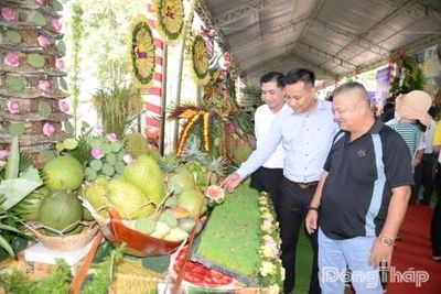 Đồng Tháp: Độc đáo những tác phẩm tại Hội thi nghệ thuật xếp đặt mô hình từ trái cây