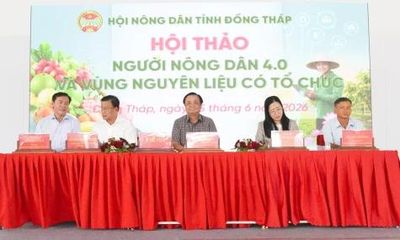 Đồng Tháp: Hướng đến nền nông nghiệp có tổ chức