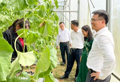 Xã Suối Dầu: Ra mắt Tổ hội Nông dân nghề nghiệp 'Trồng dưa lưới trong nhà kính'