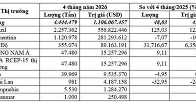 Nhập khẩu ngô 4 tháng đầu năm 2026 tăng 48,03%, chi gần 1,1 tỷ USD