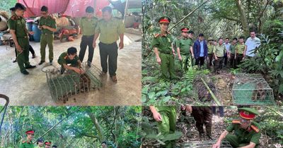 Triệt phá nhiều cơ sở kinh doanh động vật hoang dã và giải cứu các loài quý hiếm