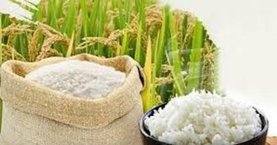 Giá lúa gạo ngày 5/6: Thị trường nội địa đi ngang, gạo Jasmine tăng 1.000 đồng/kg