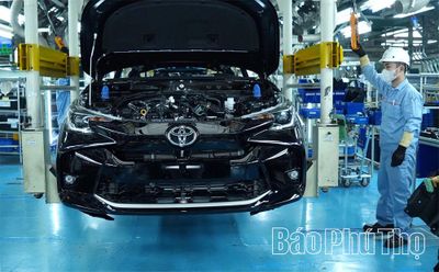 Áp lực lớn, quyết tâm cao