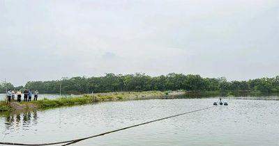 Khảo sát mô hình chăn nuôi, thủy sản phục vụ mục tiêu tăng trưởng ngành nông nghiệp