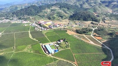 Các xã khu vực Vân Hồ hoàn thành phương án sắp xếp, tổ chức lại các bản trên địa bàn