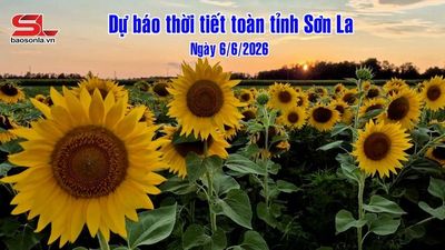 Dự báo thời tiết toàn tỉnh Sơn La ngày 6/6/2026