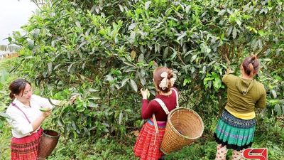 Dân vận khéo ở vùng cao Suối Tọ