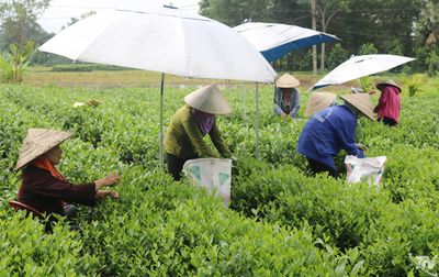 Diện mạo mới ở Phú Lương