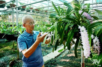 Về 'thủ phủ hoa lan' Trung Thần