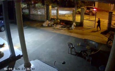 Truy xét nhóm đối tượng lái ô tô đi trộm chó ở TP.HCM