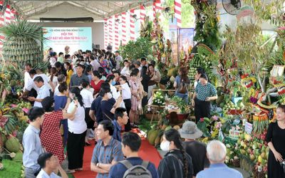 Tưng bừng khai mạc Lễ hội trái cây Đồng Tháp lần thứ I