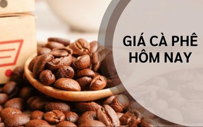 Ngày 5/6: Giá cà phê quay đầu giảm, hồ tiêu neo ở mức 139.000 đồng/kg