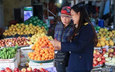 Đơn giản chế độ kế toán, 'tiếp sức' cho doanh nghiệp siêu nhỏ