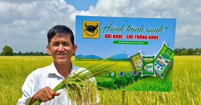 Đất khỏe hôm nay, mùa vàng ngày mai