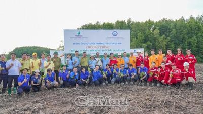 Trồng mới gần 4.000 cây đước, phục hồi rừng ngập mặn