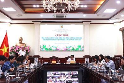 Tháo gỡ khó khăn, vướng mắc trong tổng rà soát hệ thống văn bản pháp luật