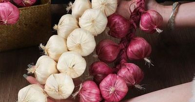 Cách bảo quản hành tỏi khô cả năm không mọc mầm, không mốc hỏng