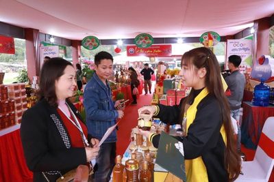 Hải Phòng đẩy mạnh thương mại điện tử, hỗ trợ tiêu thụ sản phẩm OCOP