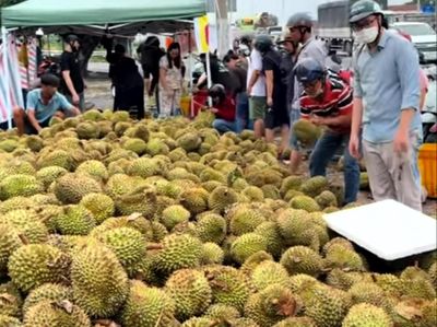 Mua sầu riêng non 'giải cứu' ven đường ở TP.HCM, người tiêu dùng lãnh đủ