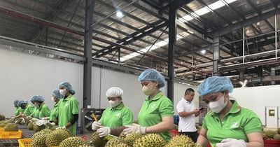 Truy xuất nguồn gốc nông sản: Nền tảng để nâng tầm nông sản Việt