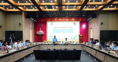 Kiến nghị hoàn thiện pháp luật về mô hình chính quyền địa phương 2 cấp