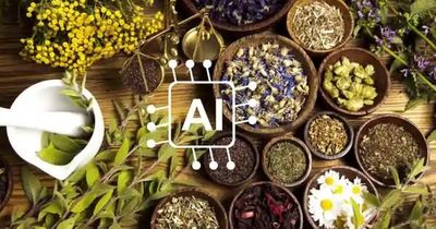AI mở đường cho y học cổ truyền bước vào kỷ nguyên số