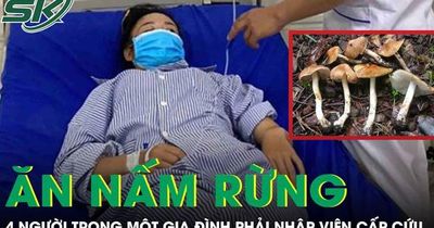 Ăn nấm rừng, 4 người trong một gia đình phải nhập viện cấp cứu