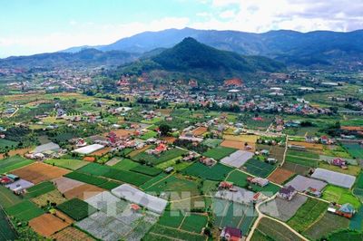 Lâm Đồng: Quy hoạch 6 hành lang kinh tế và 7 vùng kinh tế chuyên biệt