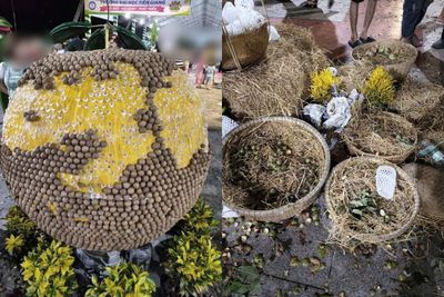 Lễ hội trái cây Đồng Tháp 'vỡ trận', tiểu cảnh bị lấy mất trái cây