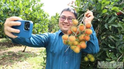 Khám phá 'thủ phủ' trái cây ở Đồng Nai