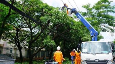 Thành phố Hồ Chí Minh: Chủ động phòng ngừa cây ngã đổ, tai nạn điện mùa mưa