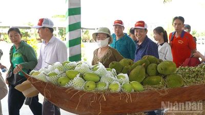 Đồng Tháp: Khắc phục hư hỏng phát sinh do vài du khách gây ảnh hưởng tại lễ hội trái cây
