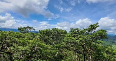 Phong Nha - Kẻ Bàng được công nhận là Khu Dự trữ sinh quyển thế giới