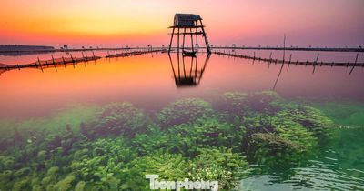 Khung cảnh 'siêu thực' trên bãi biển nổi tiếng Hưng Yên