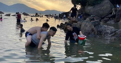 Chiều hè, phụ huynh Đà Nẵng đưa con ra biển lội rêu, bắt ốc