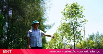 Nhếch nhác tuyến 'cửa ngõ' phía đông phường Thành Sen