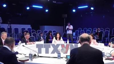 Việt Nam dự Phiên thảo luận 'Nga-APEC: Triển vọng hợp tác rộng mở đến năm 2035'