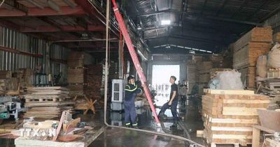 Hải Phòng: Kịp thời dập tắt đám cháy tại xưởng sản xuất pallet gỗ 400m2
