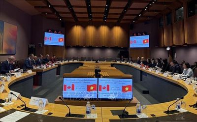 Việt Nam - Canada thống nhất nhiều định hướng hợp tác kinh tế giai đoạn 2026 - 2028