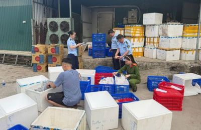 Thanh Hóa: Công ty Phương Tùng Ly mạo danh một doanh nghiệp tại Thủ đô sản xuất nem chua rán Hà Nội