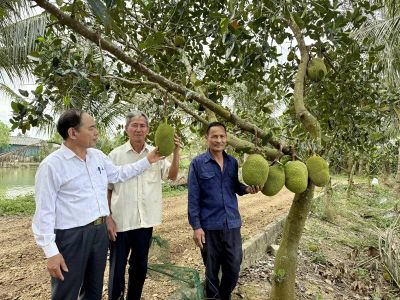 Quan tâm, chăm sóc và phát huy vai trò người cao tuổi