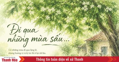 Đi qua những mùa sấu