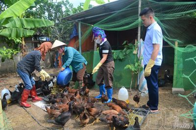 Đào tạo nghề gắn với tạo sinh kế bền vững