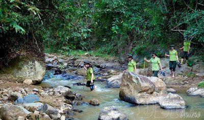 Những bóng hồng giữ màu xanh cho rừng