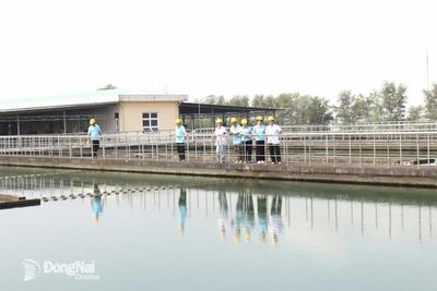 Đẩy nhanh triển khai các chương trình mục tiêu quốc gia giai đoạn 2026-2030
