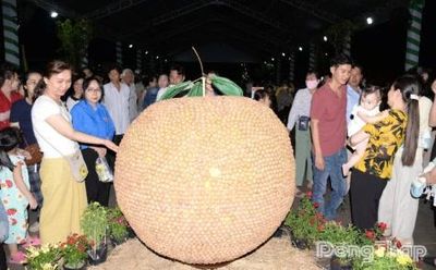 Trái cây đặc sản đầy ắp tại Không gian trưng bày, triển lãm chuỗi giá trị ngành hàng trái cây Đồng Tháp