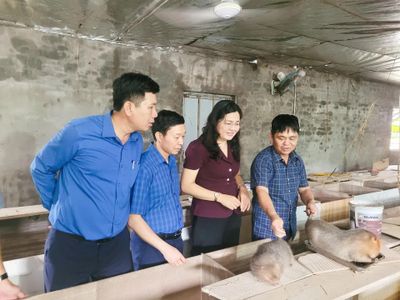 Hội Nông dân tỉnh Khánh Hòa tìm hiểu mô hình kinh tế nông nghiệp tại tỉnh Bắc Ninh