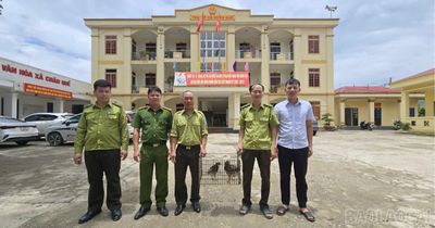 Người dân tự nguyện giao nộp động vật hoang dã quý hiếm